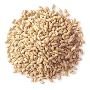 Organic Soft White Wheat Berries